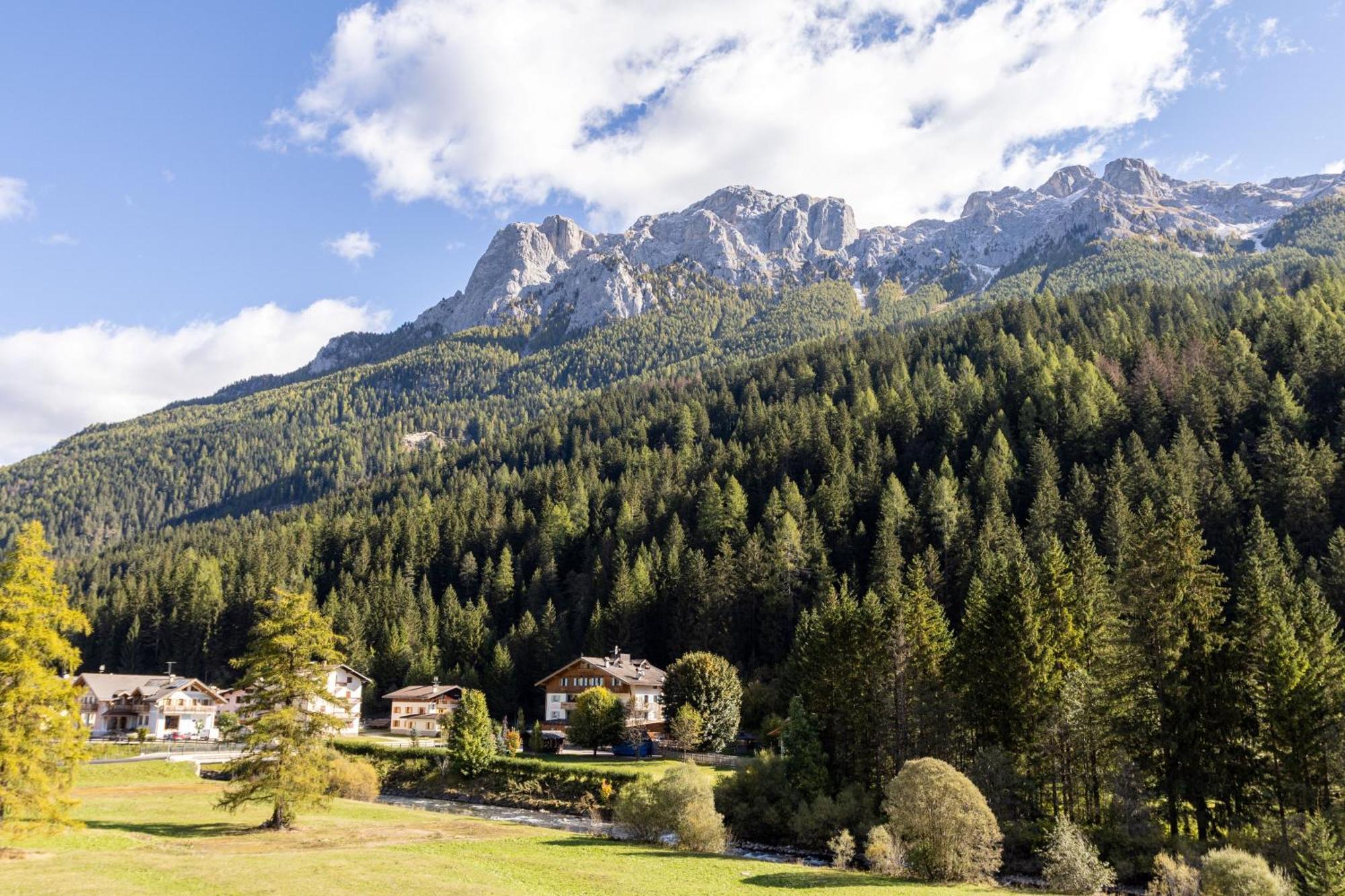 Wellness Hotel Dolomia Soraga Extérieur photo